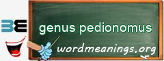 WordMeaning blackboard for genus pedionomus